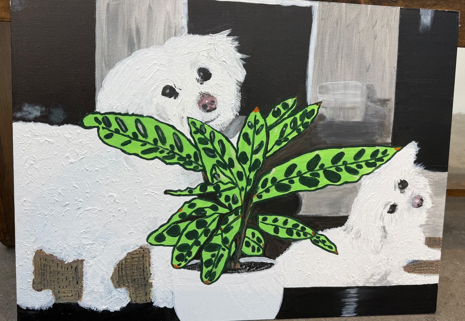 Finished commissioned painting of the two white dogs and the prayer plant